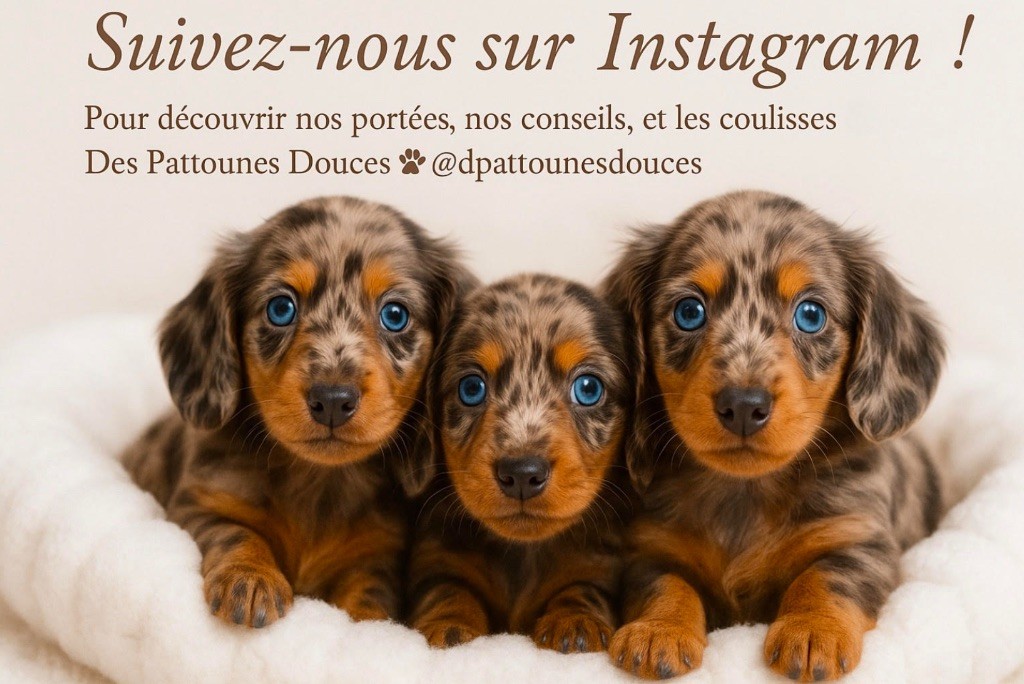 Suivez notre quotidien sur Instagram 